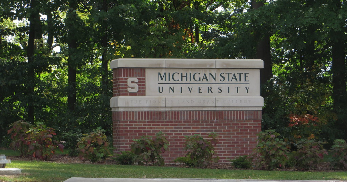 Michigan State University Admission Requirements for International Students